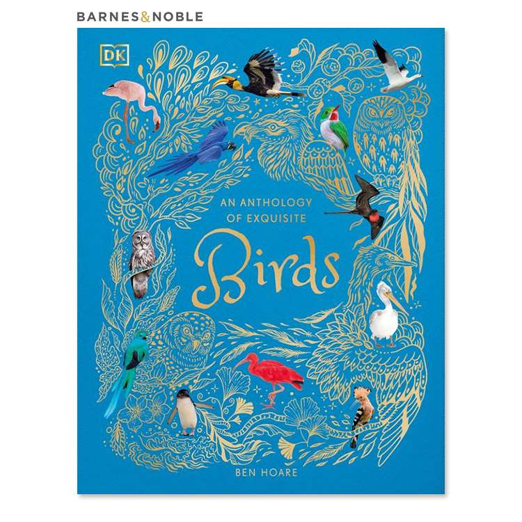 【洋書】美しい鳥のアンソロジー [ベン・ホア] An Anthology of Exquisite Birds [Ben Hoare] 美しい写真 イラスト 発見 好奇心 楽しい 学び