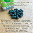 エチケットサプリ ボディミント 100mg 50粒 BODY MINT USA 単品 セット 2