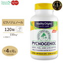 ピクノジェノール 150mg 120粒サプリメント 美容 Healthy Origins ヘルシーオリジンズ [お得サイズ] 1