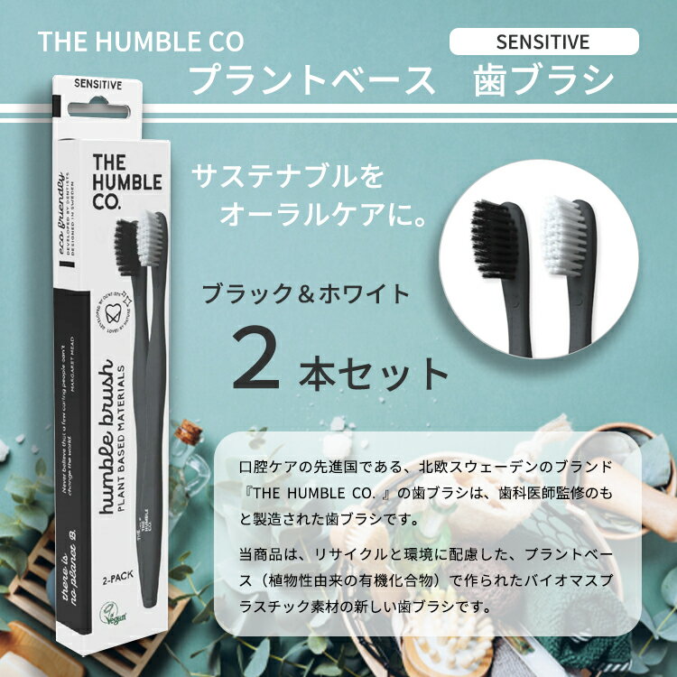 プロスペック ヤング M ふつう 4色アソート 20本入(各色5本入) GC ジーシー