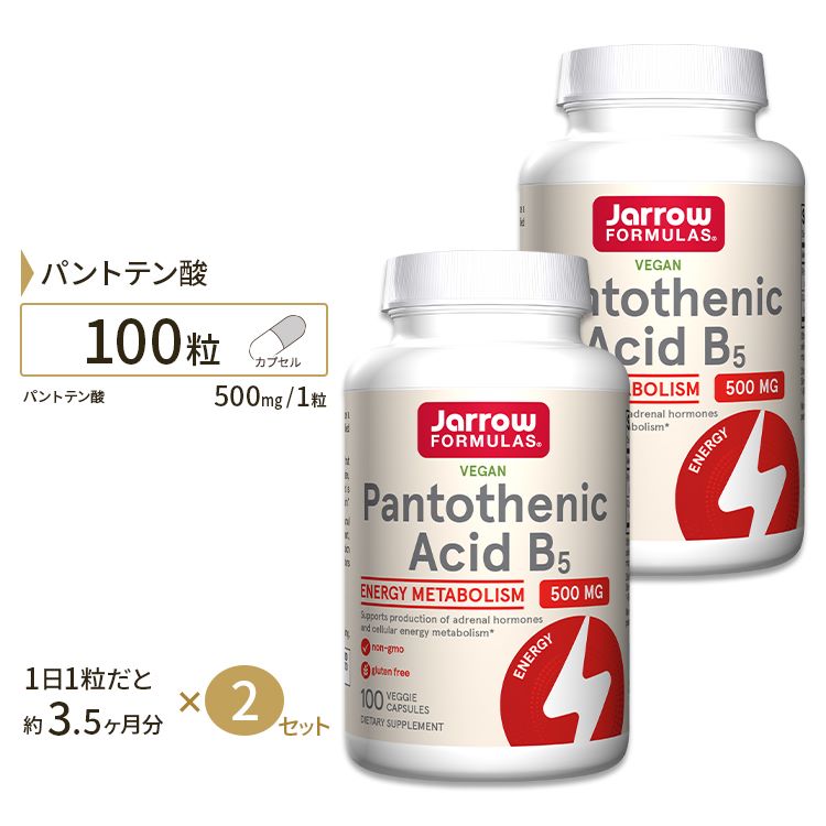 [2個セット] ビタミンB5 パントテン酸 カルシウム 500mg 100粒 約3ヶ月分 Jarrow Formulas Pantothenic Acid