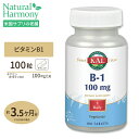ビタミンB1 100mg 100粒 健康 栄養補助 タブレット サプリメント サプリ