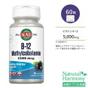 カル ビタミン B-12 メチルコバラミン 5000mcg 60粒 トローチ アサイーベリーフレーバー KAL B-12 Methylcobalamin Acai berry 60 Lozenges サプリ ヘルスケア ビタミンB ビタミン