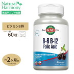 ビタミンB6 B12＆葉酸トローチ（ホモシステインバスター） 60粒 KAL