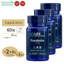  Life Extension フォルスコリン サプリメント 10mg 60粒 カプセル ライフエクステンション Forskolin