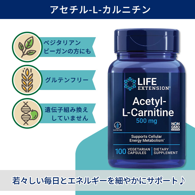 【ポイント10倍★23日18時-2日9時】ライフ エクステンション アセチル-L-カルニチン...