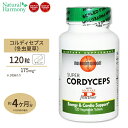 }bV[EBY_ ~đ (Ƃイ) }C^PGLX 175mg 120 2 Mushroom Wisdom Super Cordyceps Tvg LmR  wXPA ^ubg