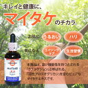 マッシュルームウィズダム マイタケ D-フラクション標準タイプ 60ml サプリメント サプリ 健康サプリ キノコ（茸）加工食品 βグルカン配合 キノコ 茸 舞茸 マイタケ Mushroom wisdom