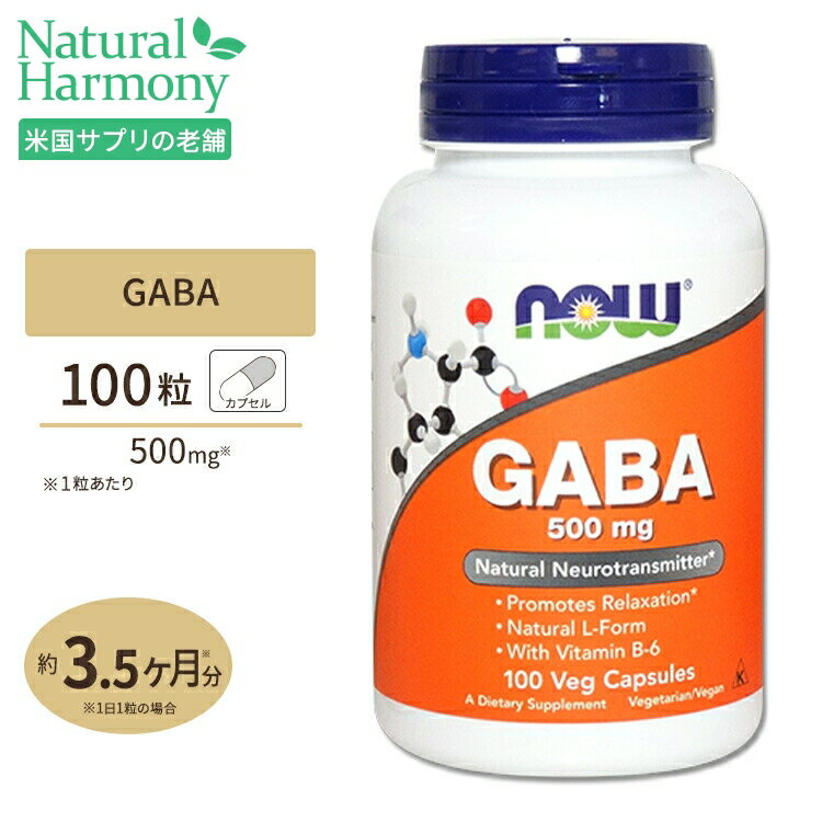 GABA ギャバ +ビタミンB6 500mg 100粒 NOW Foods ナウフーズ 
