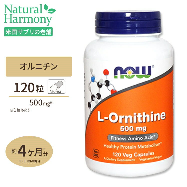 【2個セット】お得サイズ Lオルニチン 500mg 120粒　071-00122 サプリメント 美容サプリ サプリ オルニチン お徳用 now ナウ 栄養補助 栄養補助食品 アメリカ 国外 カプセル サプリンクス 通販 楽天