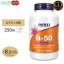 ナウフーズ B-50 サプリメント 250粒 NOW Foods ビタミンB群11種 葉酸 ナイアシン ビオチン パントテン酸 PABA コリン イノシトール お得サイズ ベジカプセル