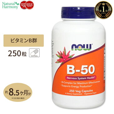 [お得サイズ]ビタミンB-50 250粒 約8ヶ月分 B群10種 葉酸 ナイアシン ビオチン パントテン酸 PABA コリン イノシトール ベジカプセル NOW Foods(ナウフーズ)☆☆