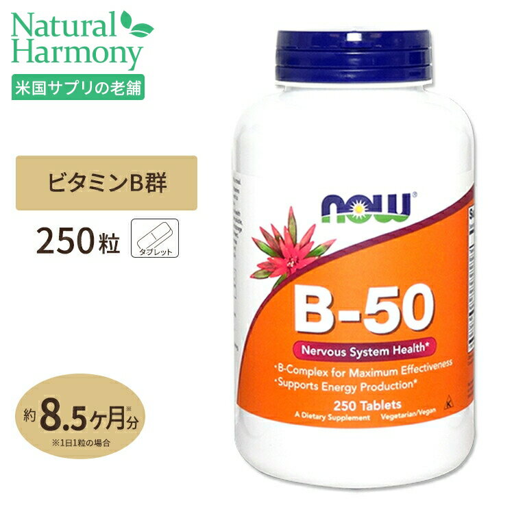 ナウフーズ B-50 サプリメント 250粒 タブレット NOW Foods B-50 250 tablets ナイアシン パントテン酸 PABA コリン …