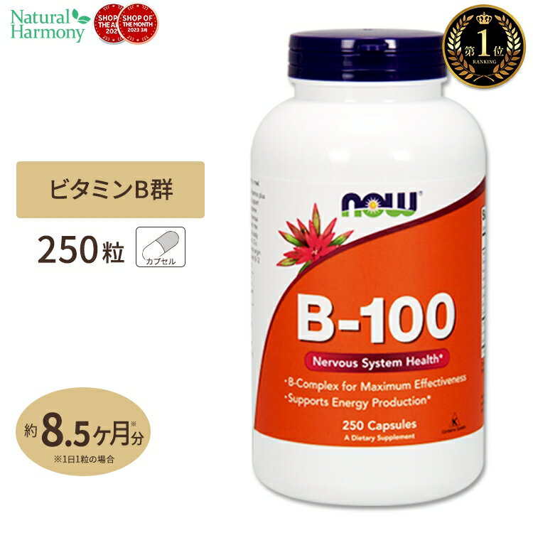 ビタミンB-100 250粒 約8ヶ月分 NOW Foods ナウフーズ [お得サイズ] 単品 セット