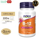 ナトロール ビタミンB-12 チュワブル 5000mcg 100粒 Natrol Vitamin B-12 Fast Dissolve Tablets Chewable ストロベリー味