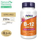 ナウフーズ ビタミンB-12 1000mcg 250粒 トローチ タイプ NOW Foods B-12 1000mcg 250 LOZ サプリメント ビタミン ビタミンB 葉酸 健康サポート 1mg シアノコバラミン エネルギー 海外直送