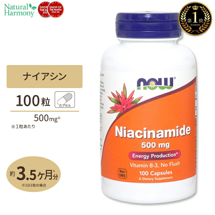 ナウフーズ ナイアシンアミド ビタミンB3 500mg 100粒 NOW Foods Niacinamide (B-3) イキイキとした毎日 エナジーチ…