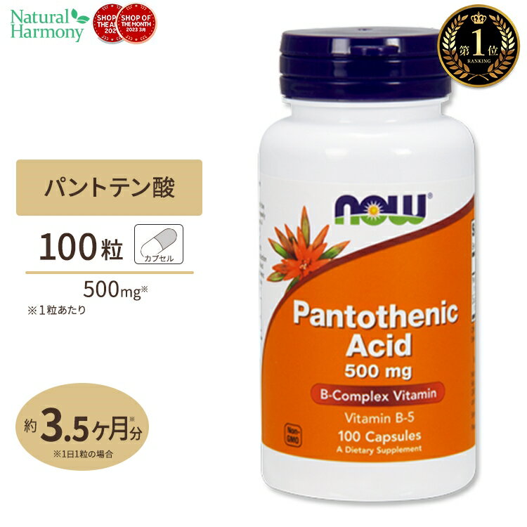 【バズり中】パントテン酸 ビタミンB5 500mg 100粒 NOW Foods ナウフーズ 【注目】脂