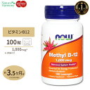 ビタミンB12 1000mcg 100粒入り Solgar（ソルガー）