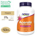 ナウフーズ アセロラパウダー 170g (6 oz) NOW Foods ACEROLA POWDER 栄養補助食品 ヘルスケア ビタミンC フリーラジカルスカベンジャー