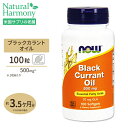 NOW Foods ブラックカラントオイル (黒カシス) 500mg 100粒 ソフトジェル ナウフーズ Black Currant Oil 500mg 100softgels