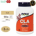 NOW Foods CLA (共役リノール酸) 800mg 90粒 ソフトジェル ナウフーズ CLA (Conjugated Linoleic Acid) 800mg - 90Softgels その1