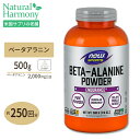 ベータアラニン パウダー 500g NOW Foods（ナウフーズ） Beta-Alanine 500g