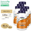 [6個セット]L-オルニチン 500mg 120粒 NOW Foods(ナウフーズ)【送料無料!】