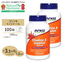 コリン＆イノシトール 500mg 100粒 NOW Foods(ナウフーズ) 2個セット