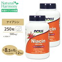 [2個セット] ナウフーズ ナイアシン サプリメント 500mg 250粒 NOW Foods Niacin タブレット