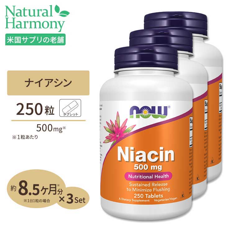 [3個セット] ナウフーズ ナイアシン サプリメント 500mg 250粒 NOW Foods Niacin タブレットのサムネイル