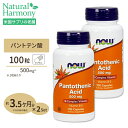 [2個セット]パントテン酸 500mg 100粒 NOW Foods(ナウフーズ)【ポイントUP2倍対象★1/24 17:00-2/3 9:59迄】