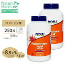 [2個セット]パントテン酸 500mg 250粒 NOW Foods(ナウフーズ)