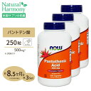 [3個セット] パントテン酸 500mg 250粒 NOW Foods(ナウフーズ)ビタミンB5 約250日分×3 その1