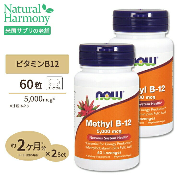 【×2個 メール便送料無料】小林製薬 ヘム鉄葉酸ビタミンB12 90粒入