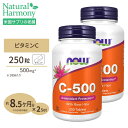 2個セット ナウフーズ ビタミンC-500 with ローズヒップ 500mg 250粒 NOW Foods