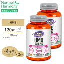 [2個セット] HMB 500mg 120粒《約3ヵ月分》 NOW Foods(ナウフーズ) その1