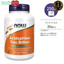 【乳酸菌で口腔環境ケア】ナウフーズ 4×6 アシドフィルス ベジカプセル 60粒 NOW Foods Acidophilus 4x6 Veg Capsules 乳酸菌 ビフィズス菌