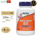 アルファリポ酸 250mg 120粒 NOW Foods(ナウフーズ)【ポイントUP2倍対象★1/24 17:00-2/3 9:59迄】