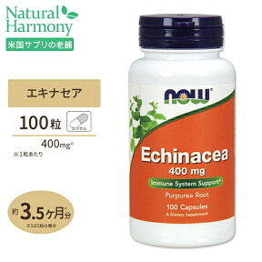 エキナセア 400mg 100粒 NOW Foods(ナウフーズ)