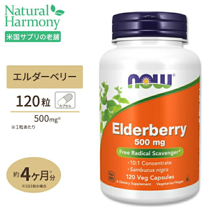 ナウフーズ エルダーベリー サプリメント 500mg 120粒 NOW Foods Elderberry ベジカプセル アントシアニン ビタミン ハーブ サンブカスニグラ セイヨウニワトコ