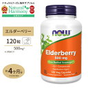 ナウフーズ エルダーベリー サプリメント 500mg 120粒 NOW Foods Elderberry ベジカプセル アントシアニン ビタミン ハーブ サンブカスニグラ セイヨウニワトコ