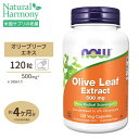 オリーブリーフエキス（オレウロペイン6％） 500mg 120粒 NOW Foods(ナウフーズ)