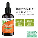 ナウフーズ オリーブ リーフ グリセリン製剤 59ml (2oz) NOW Foods Olive Leaf Glycerite ハーブ 栄養補助食品