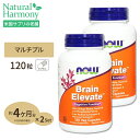  ブレイン エレベイト ベジタリアン 120粒 NOW Foods(ナウフーズ)