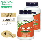 [2個セット] ナウフーズ 10倍濃縮 キャッツクローエキス 334mg 120粒 NOW Foods Cat's Claw Extract 120 Vegcaps