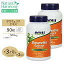  ボスウェリアエキス（ボスウェリアセラータ） 500mg 90粒 NOW Foods(ナウフーズ)