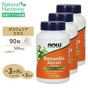  ボスウェリアエキス（ボスウェリアセラータ） 500mg 90粒 NOW Foods(ナウフーズ)