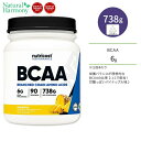 ニュートリコスト BCAAパウダー パイナップル 738g (26oz) 90回分 Nutricost BCAA Powder Pineapple BCAA2:1:1 分枝鎖アミノ酸
