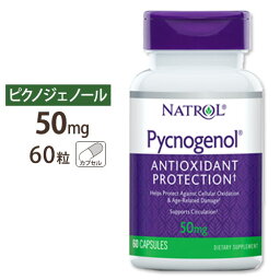 ピクノジェノール 50mg 60粒 サプリメント サプリ フランス海岸松樹皮 美容 Natrol ナトロール アメリカ